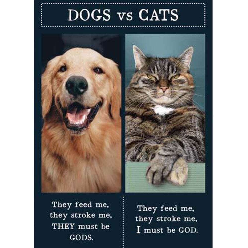 Pigment Animal Antics Funny Card Dogs Vs Cats AA1020A - Main Image