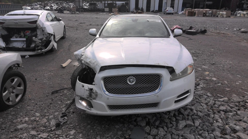 Cinturón de seguridad delantero JAGUAR XJ 12 Foto 2 de 4