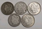5 Morgan Silver Dollars - 5 Coin Lot - SKu17
