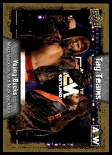 2022 Upper Deck AEW Matt Jackson / Nick Jackson TT #90 Gold
