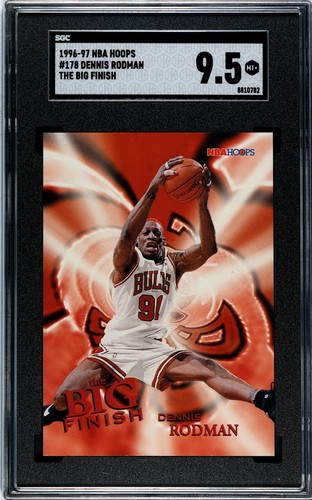 1996 Dennis Rodman #178