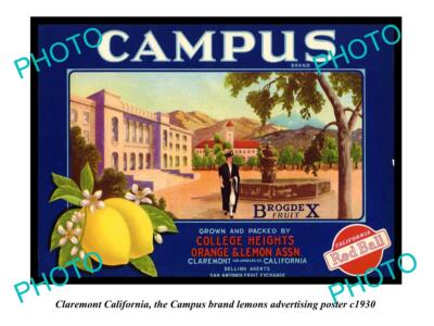 OLD POSTCARD SIZE PHOTO OF CLAREMONT CALIFORNIA CAMPUS LEMONS POSTER c1930