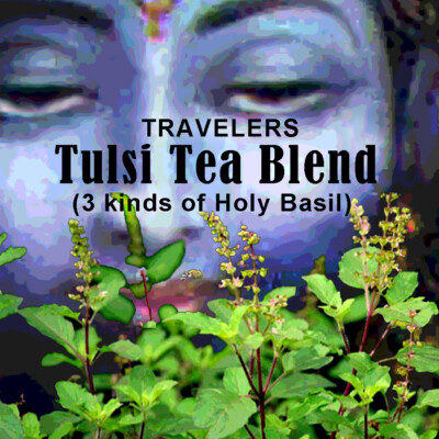 Travelers Tulsi Tea Blend (3 kinds of Tulsi), loose/bulk from $3.00 (1 oz.)