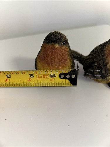 Pair Of Birds, Black/ Brown/ Yellow Resin. Nice Detailing Realistic - Bild 9 von 10