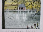 Foto 12 di 15
