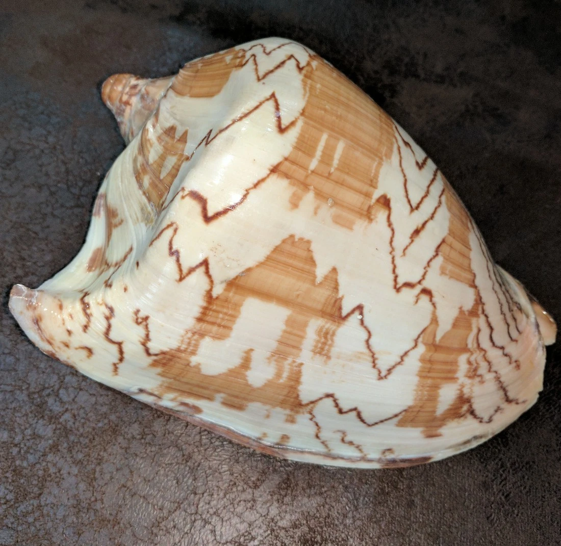 Picture 2 of 6