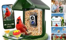 Bird Feeder with Camera Solar Powered - Smart Bird Feeder Camera 2K HD Green