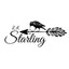 R.A.Starling