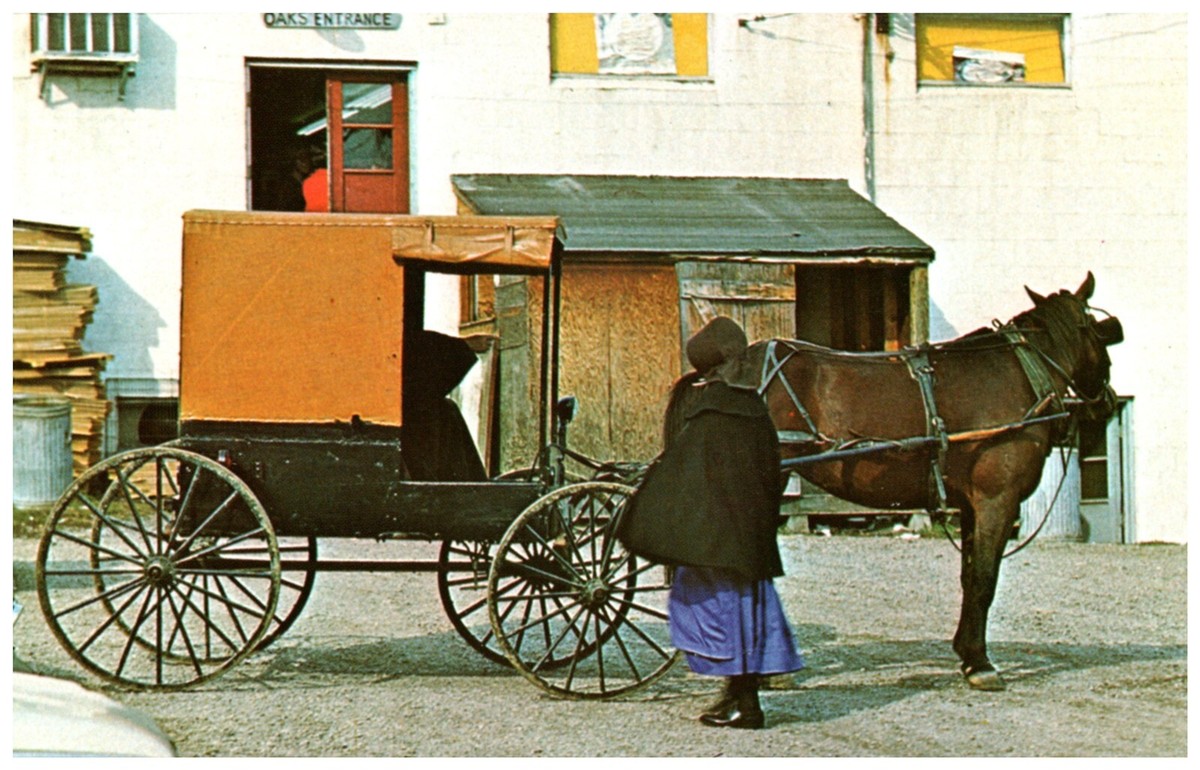 Postcard Amish Women Come to Town in Horse and Buggy