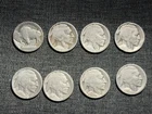 8 Early Buffalo Nickels - Teens 1913 to 1919 - Good Dates Carefully Restored