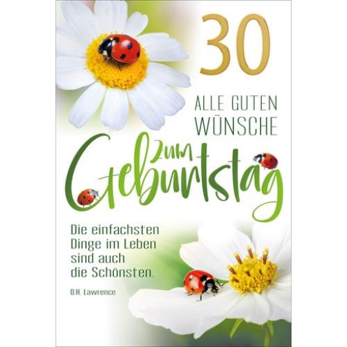 30. Geburtstag GlüCkwunschkarte Mit Briefumschlag MarienkäFer Und Margerite-image