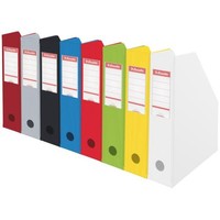 Stehsammler Vivida, Din A4, Pappe, GrüN, (B)100 Mm Esselte 56076 (5701216560764)