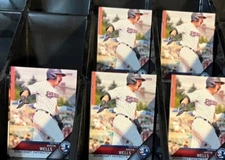 Austin Wells 2023 Somerset Patriots #30 Choice New York Yankees Rookie (RC)