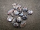 Foto 3 di 3