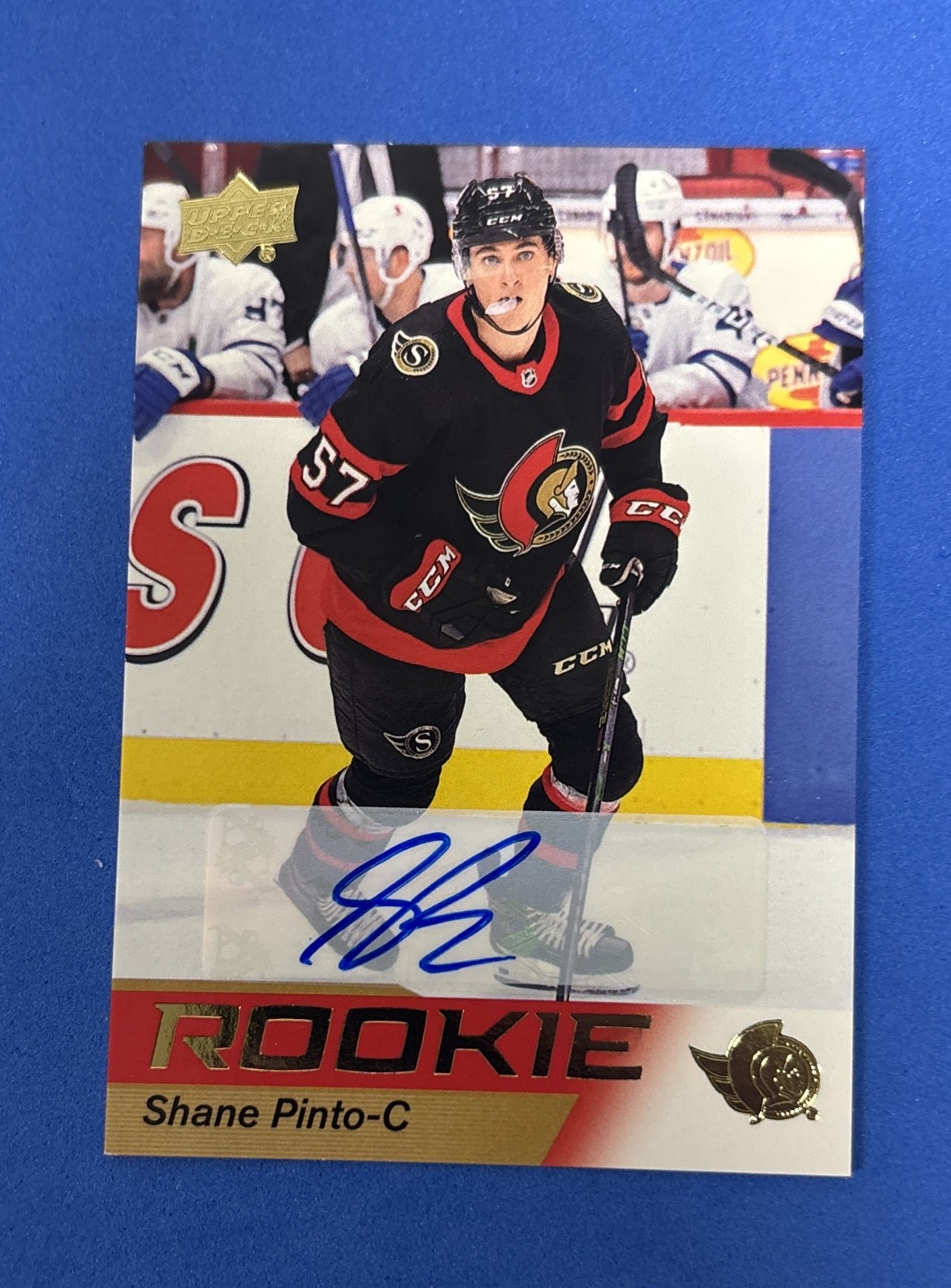 2021-22 Upper Deck NHL Star Rookie Shane Pinto #11 Autographs (AU, RC)