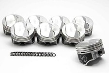 Speed Pro Hypereutectic Coated Skirt 10cc Dome Pistons Set8 Chevy Bb 454 Std Speed Pro Hypereutectic Coated Skirt 10cc Dome Pistons Set8 Chevy Bb 454 Std