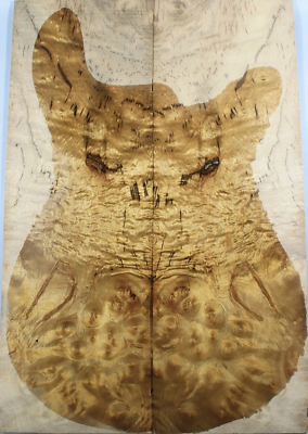 Figure Acoustic Guitar Top Spalted Barky Golden Camphor Wood Burl Luthier Supply Figure Acoustic Guitar Top Spalted Barky Golden Camphor Wood Burl Luthier Supply