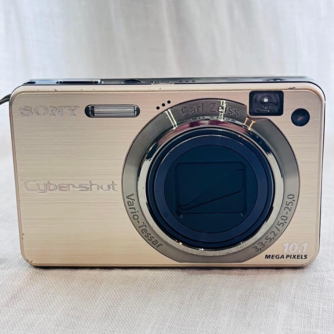 Sony Cyber-shot DSC-W170 10.1MP Digital Camera - Silver (DSC-W170