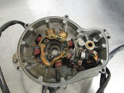 95 TIGERSHARK MONTEGO 640 MAGNETO STATOR 3008-329