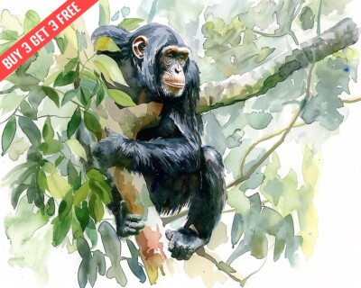 Chimpanzee in the Canopy Watercolor 8x10 Print
