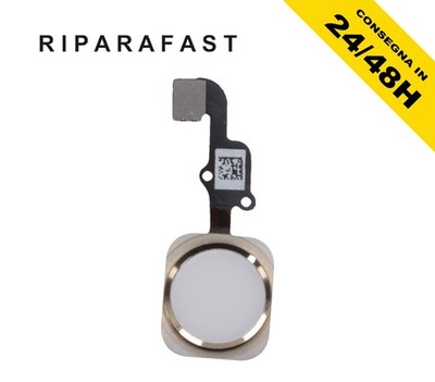 Home Taste Apple iPhone 6S Gold Flach Flex Komplett Knopf