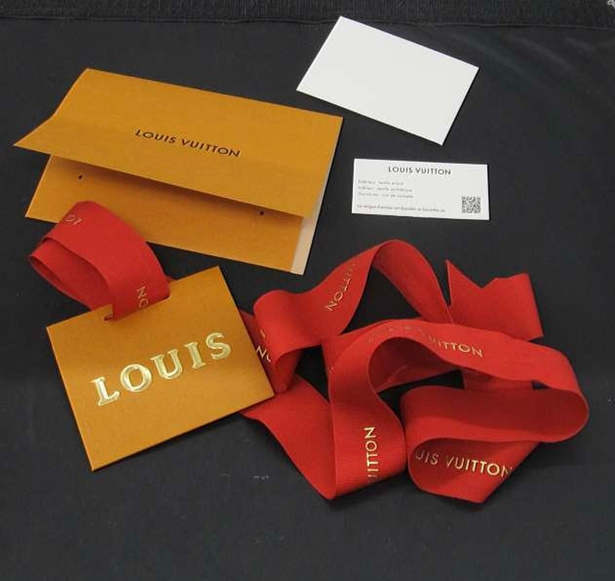 LOUIS VUITTON × NIGO LV Squared Monogram Stripe Double Phone Pouch Shoulder Bag — image 9