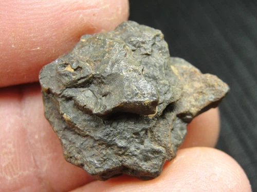 NWA 7920 Pallasite-pmg Meteorite - Official - G381-0707 - 5.52g - COA-Fragment