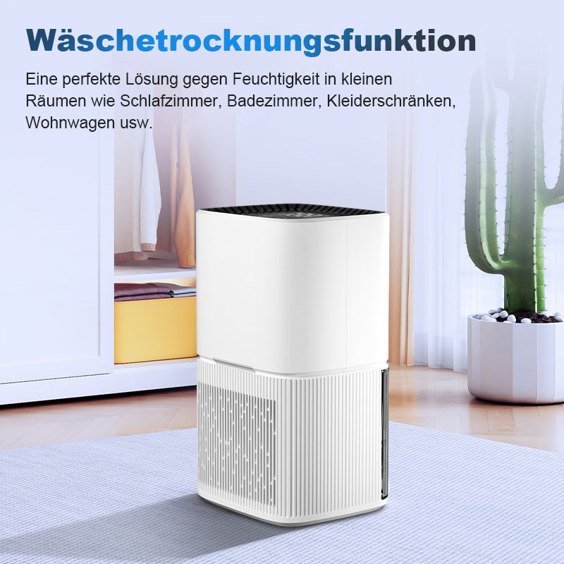 Bild 6 von 11