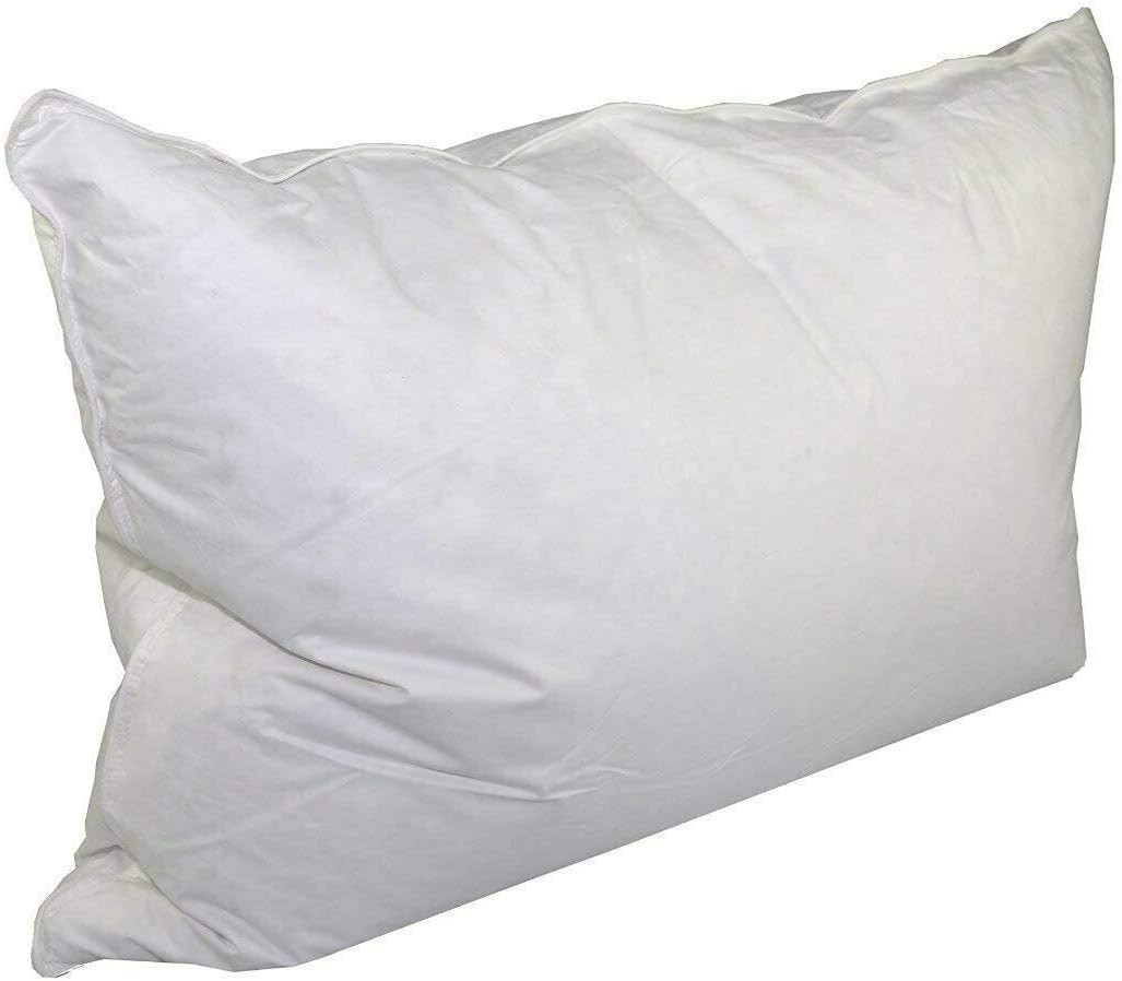 Touch of down King Pillow Found at Hotels