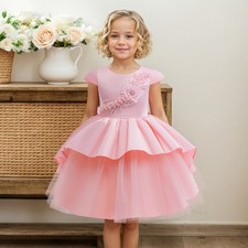Evening Ball Gown Christmas Wedding Party Kids Girls Flower Tutu Dress Birthday