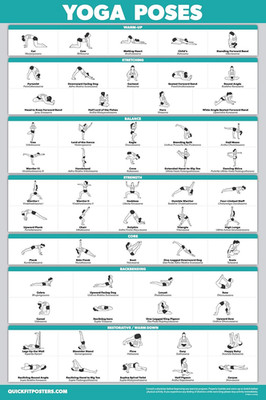 Palace Learning Quickfit Yoga Position Exercise Poster - Yoga Asana Poses Chart