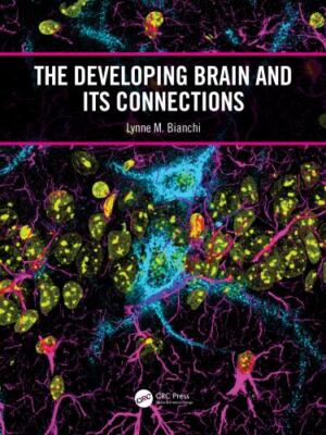 Developing Brain and Its Connections, Paperback by Bianchi, Lynne M., Brand N...