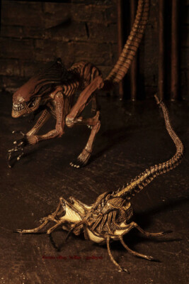 NECA Alien 3 Alien Dog Face Hug Animal Action Figure in stock | eBay