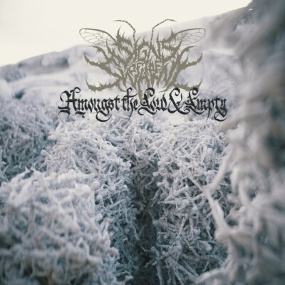 SIGNS OF THE SWARM - AMONGST THE LOW & EMPTY   CD NEU