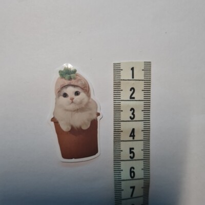 Cat Meme Funny Cute Derp Silly Hat Glanz Sticker Aufkleber Sammeln Geschenk Neu