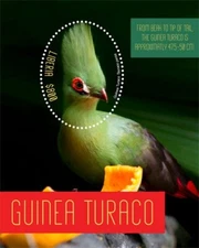 Liberia 2019 -Guinea Turaco Birds - Souvenir stamp sheet - Scott #3333 - MNH