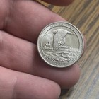 Zdjęcie 5 z 16