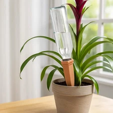 10 Pack Terracotta Plant Watering Stakes Self Watering Spikes for Wine Bottles