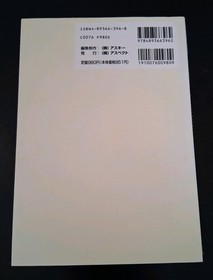 Riglord Saga 1995 Sega Saturn Japanese Official Guidebook!