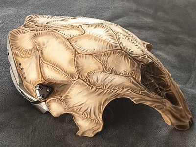 Predator Prey Feral Maske 1:1