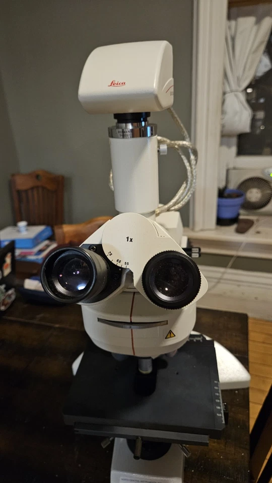 Microscopio de contraste de fase Leica DMLB - 5x 10x 40x 100x objetivos, cámara, escenario Foto 4 de 4