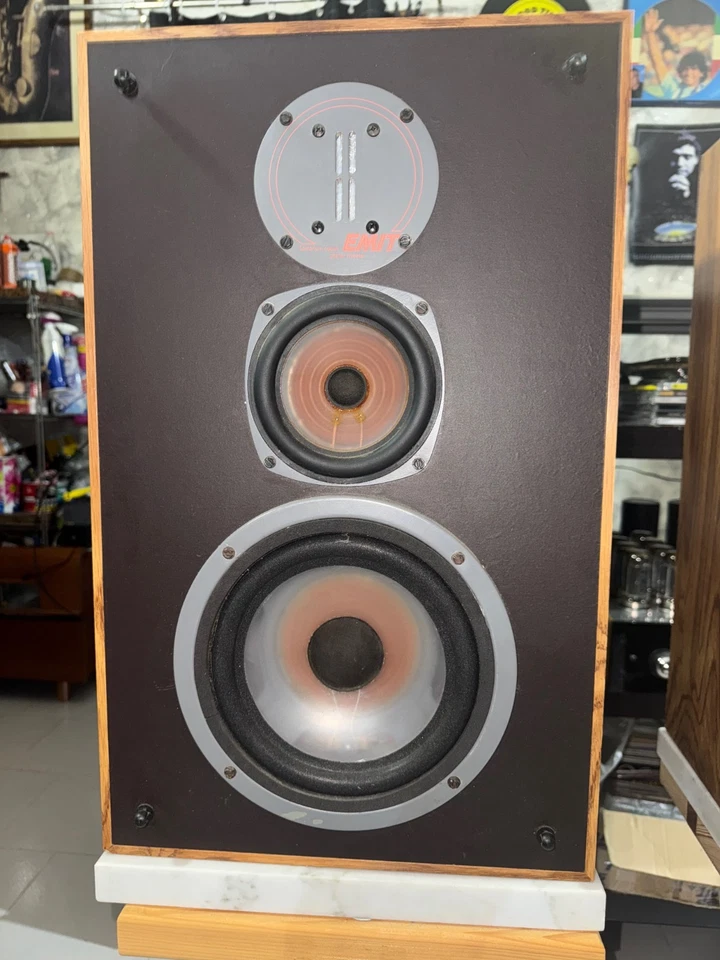 INFINITY RS7 REFERENCE AMAZING SOUND - Immagine 4 di 4