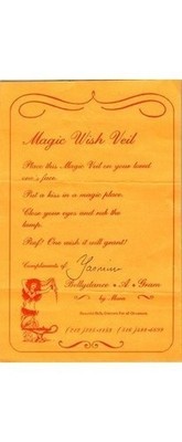 Magic Wish Veil Flyer Yasmin Bellydance A-Team 1990s NYC & Long Island