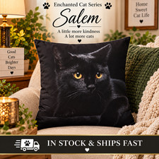 Enchanted Cat Series Salem Black Cat Throw Pillow 18x18 Cover Only