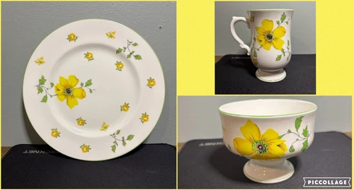 Vintage Royal Victoria Fine Bone China Yellow Flowers