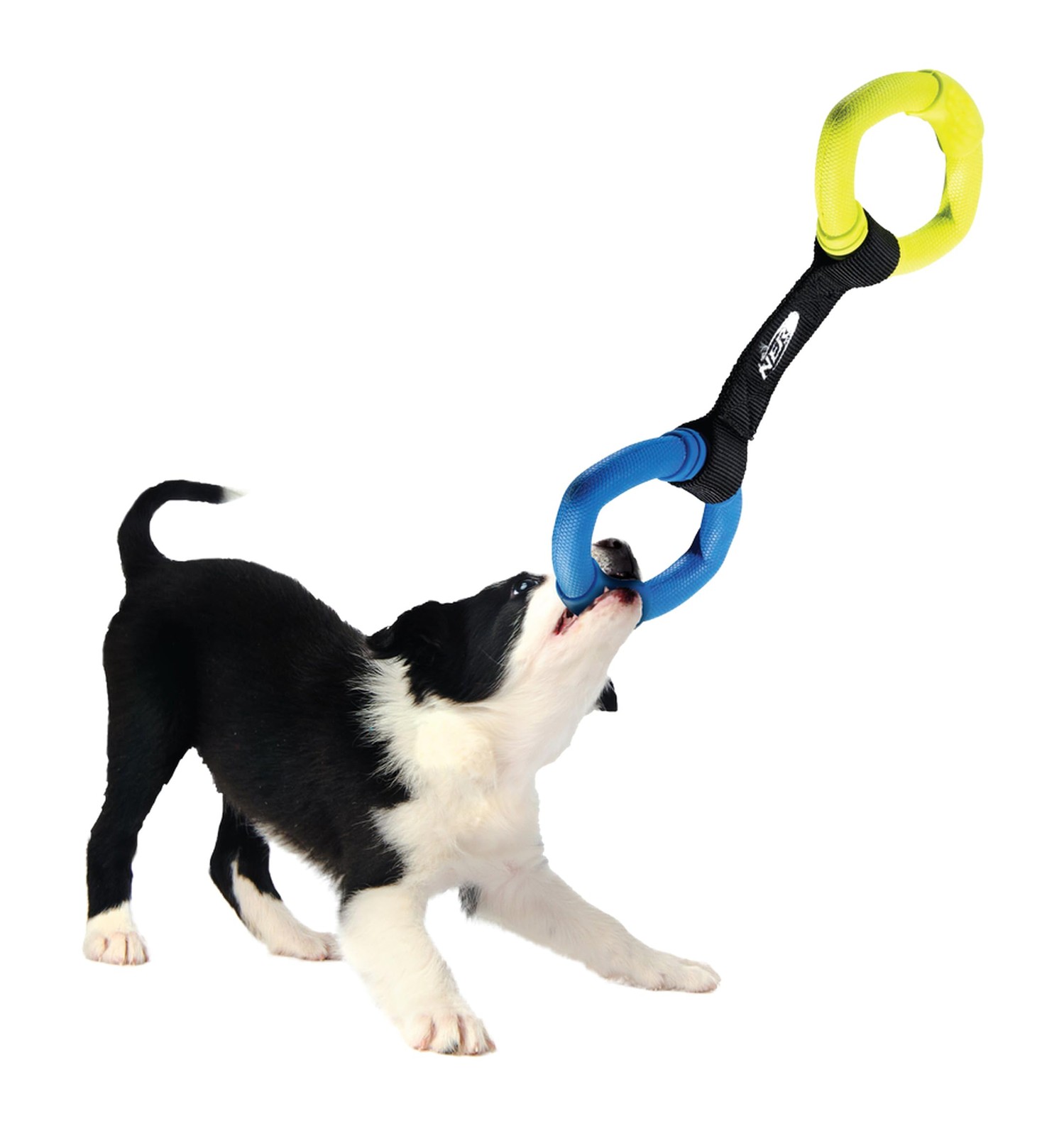NERF Jouet Décoratif Chien pour les Activités de Plein Air