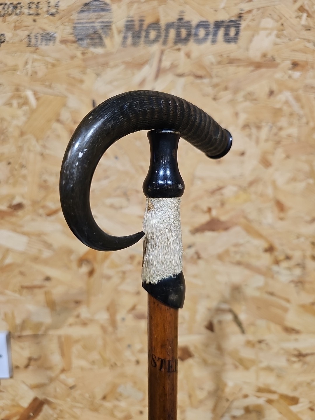 Antique Swiss Alpine Hiking/Walking Stick Goat Horn & Hoof Handle — image 10