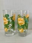 2 Pioneer Woman Rose Shadow Drinking Glasses Tumblers Blue Yellow Green Floral — photo 2