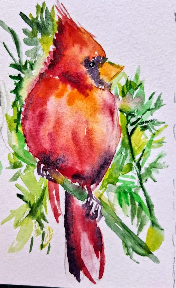 水彩画现实主义鸟类艺术绘画| eBay