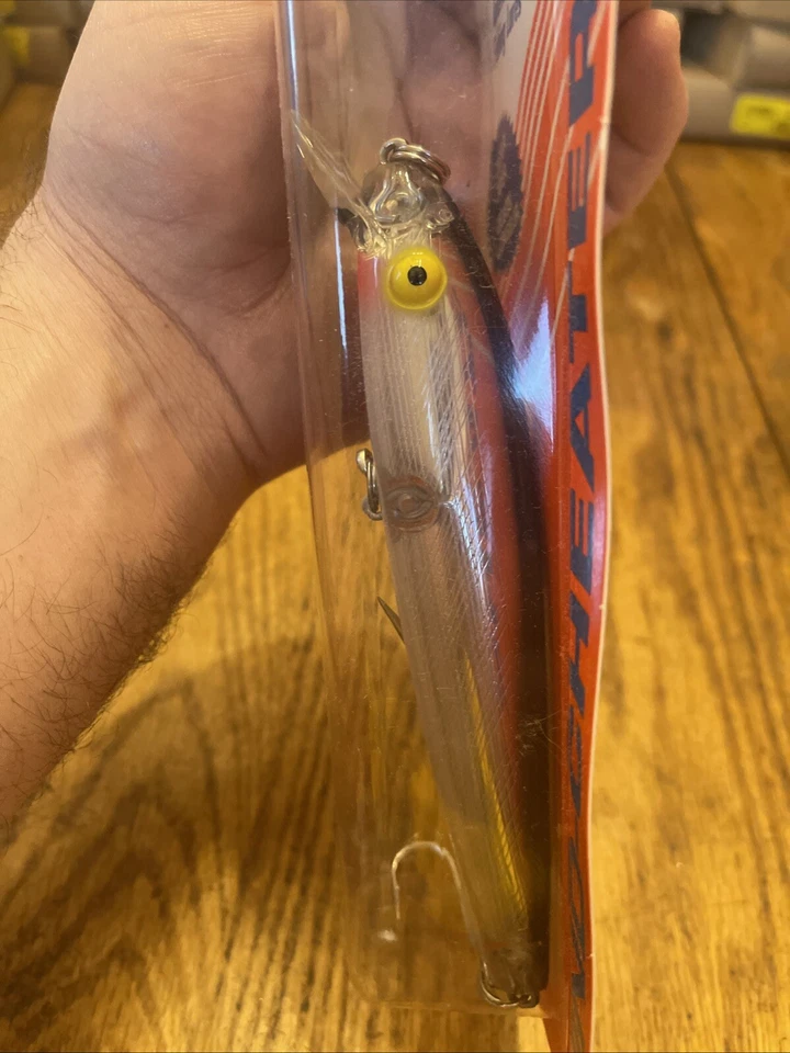 Señuelo Rebel Wind Cheater Minnow 2005 6" 1 7/8 oz flotador F8601 plateado/negro de colección Foto 4 de 4